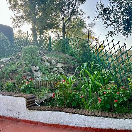 Villa Platanias 아기아 파라스케비 외부 사진